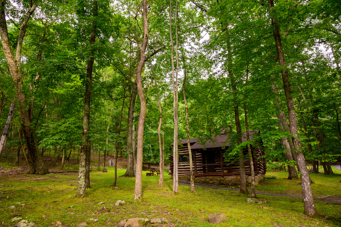 Photo of Legacy Cabins