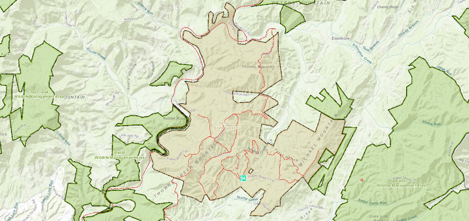 Hunting in Seneca State Forest